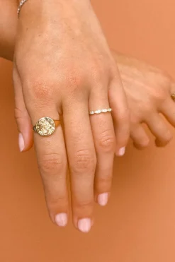Capricorn Stargazer Zodiac Ring